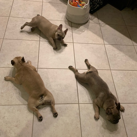 Allergy Alert - Smoke free, pet friendly home! - Picture 16 of 16